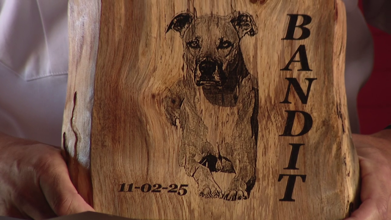 Clearwater firefighters reunite with dog they rescued from house fire