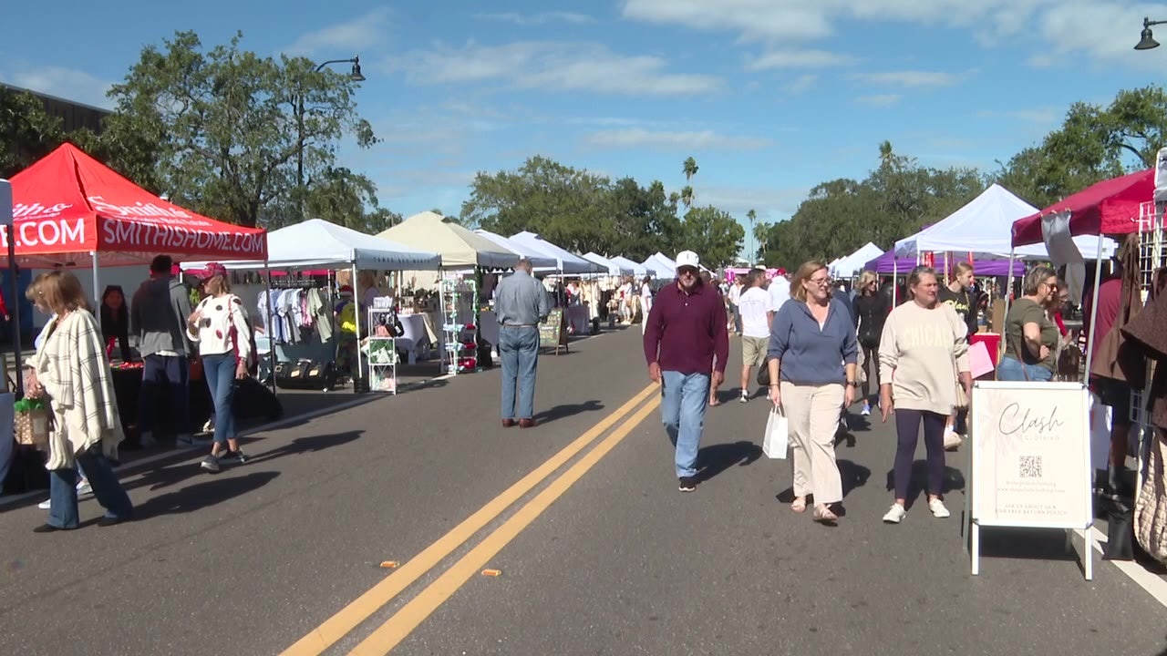 Davis Islands businesses bounce back with big turnout on Small Business Saturday