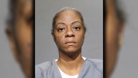 Florida woman arrested for abandoning 'severely neglected' Great Dane on Jacksonville road