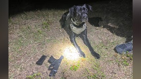 K-9 locates gun underneath shed that was used in Wauchula gas station shooting: FWC