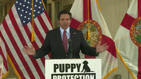 Governor Ron DeSantis announces proposal to protect puppies in Florida
