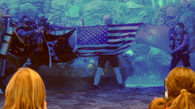 Mote Marine commemorates Veterans Day with 'Combat Wounded Veteran Challenge'