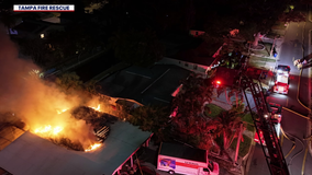 South Tampa business owner loses everything in house fire, including his dog