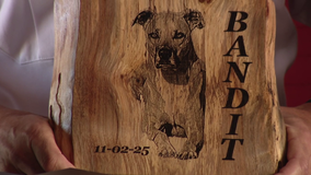 Clearwater firefighters reunite with dog they rescued from house fire