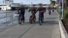 New ordinance aims to curb reckless biking on Tampa's busy trails