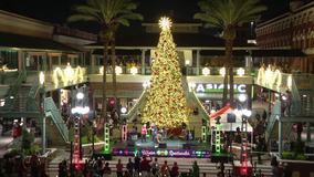 Ybor City shows resiliency after two tragic weekends with tree lighting