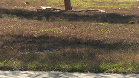 Hillsborough County issues emergency burn ban