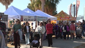 Shopapalooza returns for 15th year, bringing hundreds of local businesses to St. Pete’s waterfront