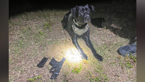 K-9 locates gun underneath shed that was used in Wauchula gas station shooting: FWC