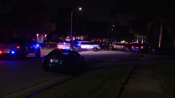 New legislation aims to protect domestic violence victims and target serial abusers