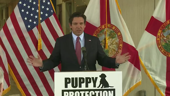 Governor Ron DeSantis announces proposal to protect puppies in Florida