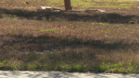 Hillsborough County issues emergency burn ban