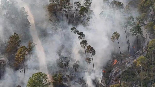 Brush fire ignites near Sebring neighborhood: HCFR