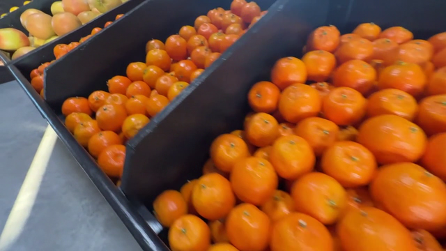 Golden Ridge Groves opens citrus U-pick showcasing local produce