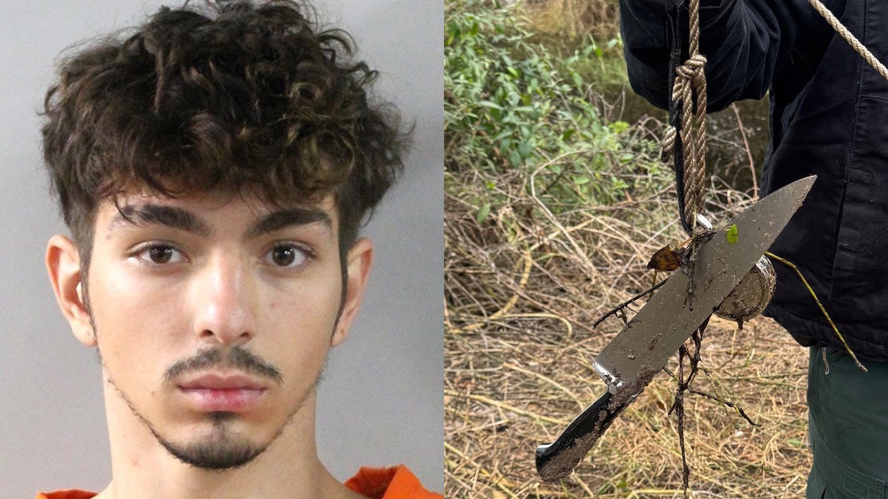 Grady Judd: Suspect accused of brutally stabbing retired nurse to death in Davenport arrested