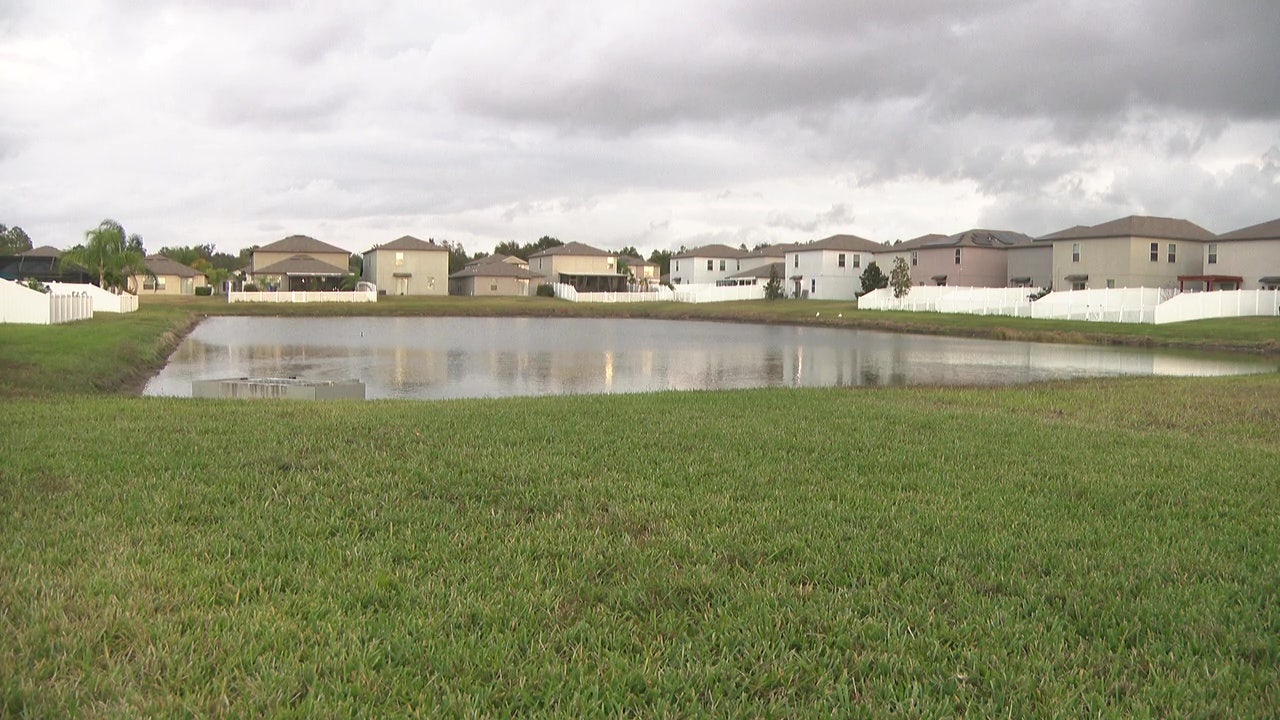 Good Samaritan saves 81-year-old woman after fall into pond in Riverview