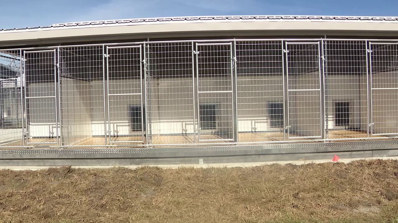 Expanded Bishop Animal Shelter opening brings new chapter for animal care in Manatee County