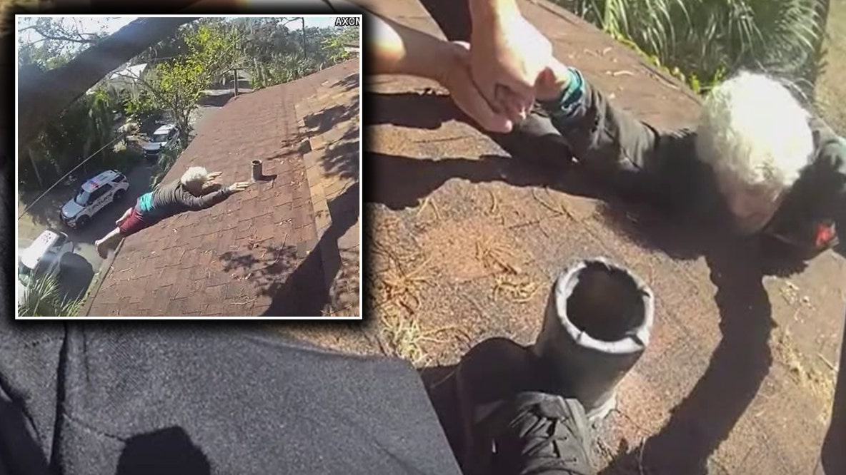 Tampa first responders rescue 86-year-old man blowing leaves off roof
