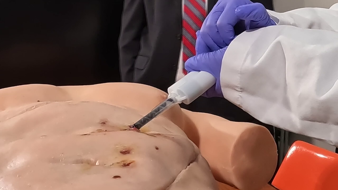 Florida scientists make major advances in medicine, environment and public health