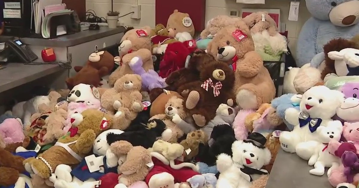 Rough Riders team up with St. Pete students to spread comfort and