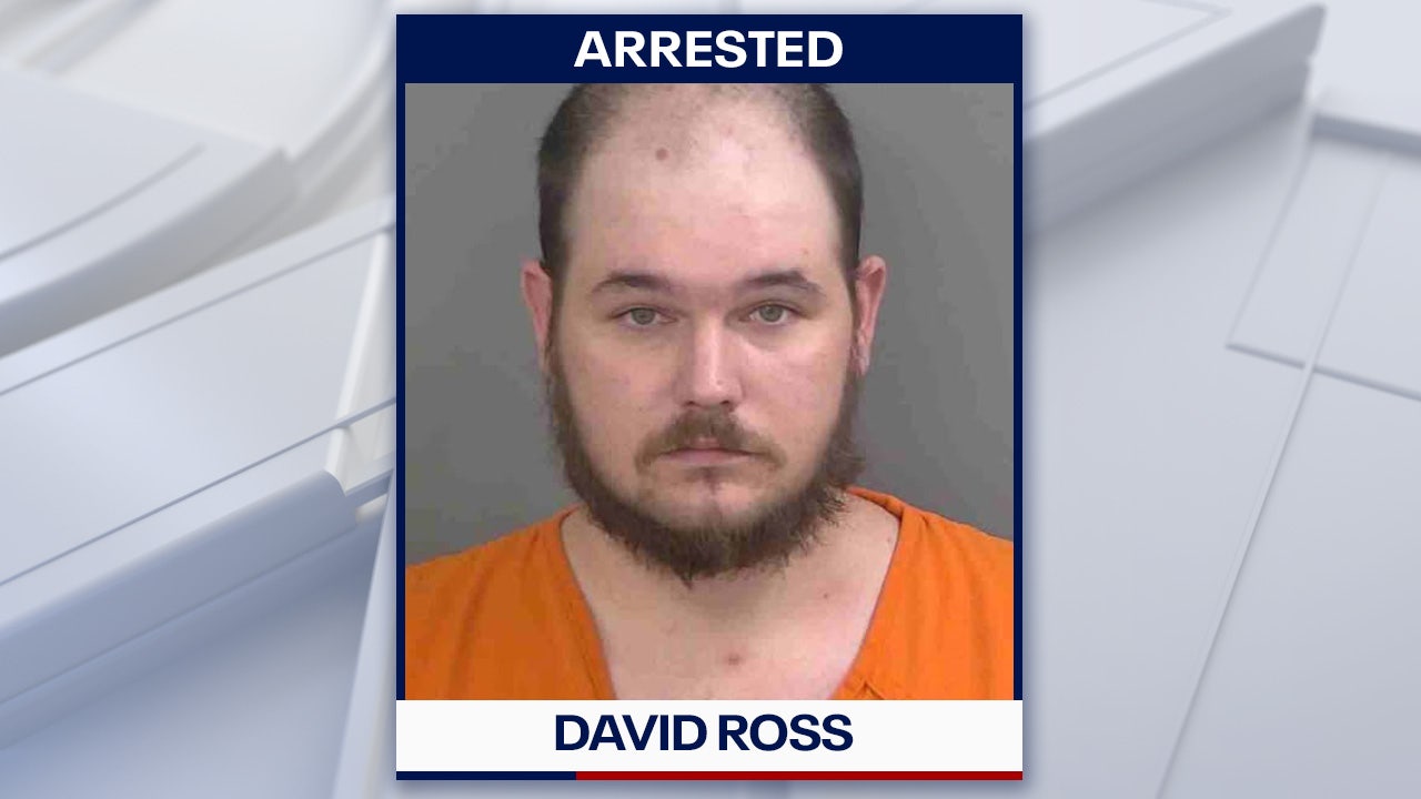 Florida man leaves 3 cats to die in trash-filled house with no electricity after moving out: CCSO