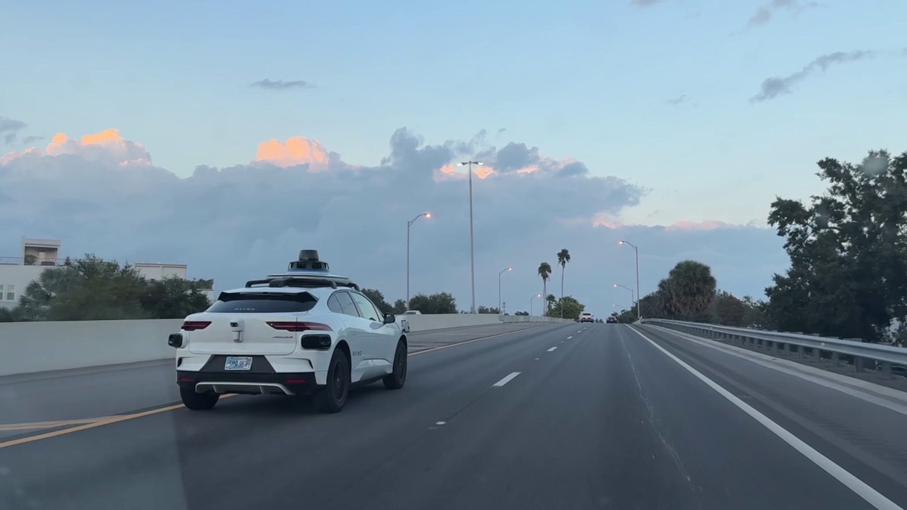 Waymo rolls out driverless cars on Tampa streets