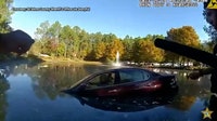 Watch: Florida deputies rescue man who drove into pond at St. Augustine library