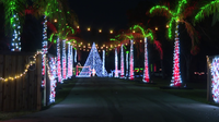 Florida man turns five-acre property into winter wonderland