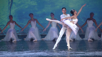 Tampa City Ballet hopes its rendition of 'The Nutcracker' serves as gateway to the world of ballet