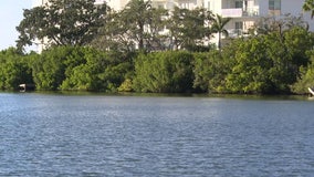 Proposed docks in Stevenson Creek in Clearwater causing concern for manatee activists