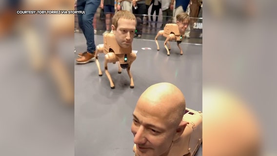 Bizarre art installation in South Florida depicting Musk, Zuckerberg and Bezos as robot dogs goes viral