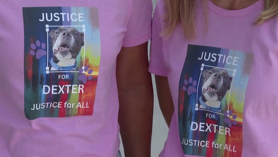 Dexter’s Law among more than 100 laws in Florida taking effect January 1