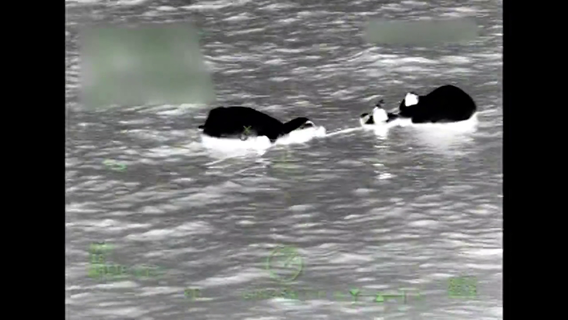 5 rescued after boat sinks off coast near Egmont Key: USCG