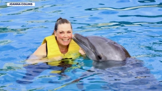 Palm Harbor woman searches for kidney donor: 'You would literally be saving my life'