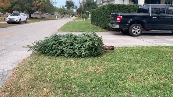 Holiday cleanup: what to recycle and what to throw away