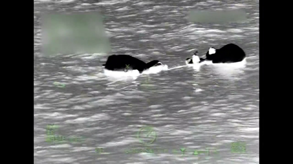 5 rescued after boat sinks off coast near Egmont Key: USCG