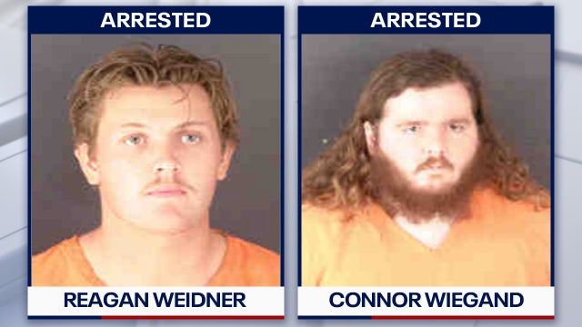 3 people accused of poaching and killing alligators across Florida: FWC