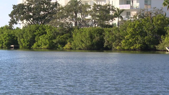Proposed docks in Stevenson Creek in Clearwater causing concern for manatee activists