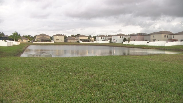 Good Samaritan saves 81-year-old woman after fall into pond in Riverview