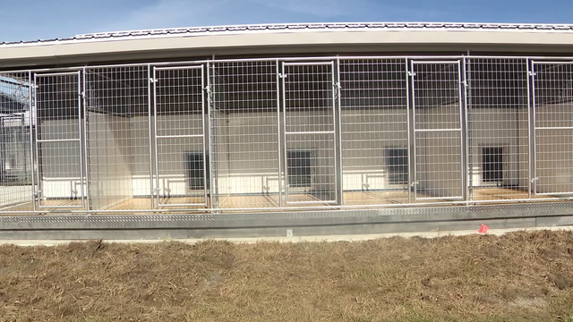 Expanded Bishop Animal Shelter opening brings new chapter for animal care in Manatee County