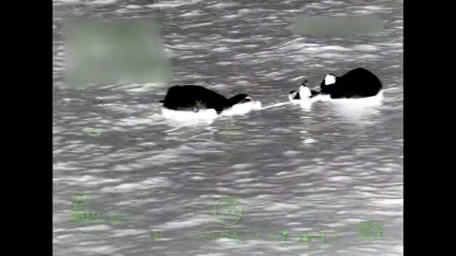 5 rescued after boat sinks off coast near Egmont Key: USCG