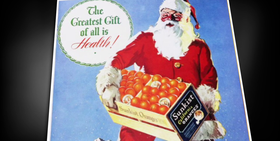 ★Orange様ご購入苗❀㉖-689❀㉖-757クリスマスローズ vlcsnap-2025-12-22-