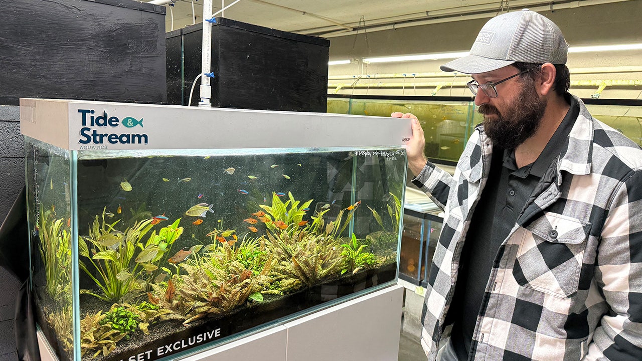 Cold snap hitting Tampa Bay area putting fish farms in survival mode