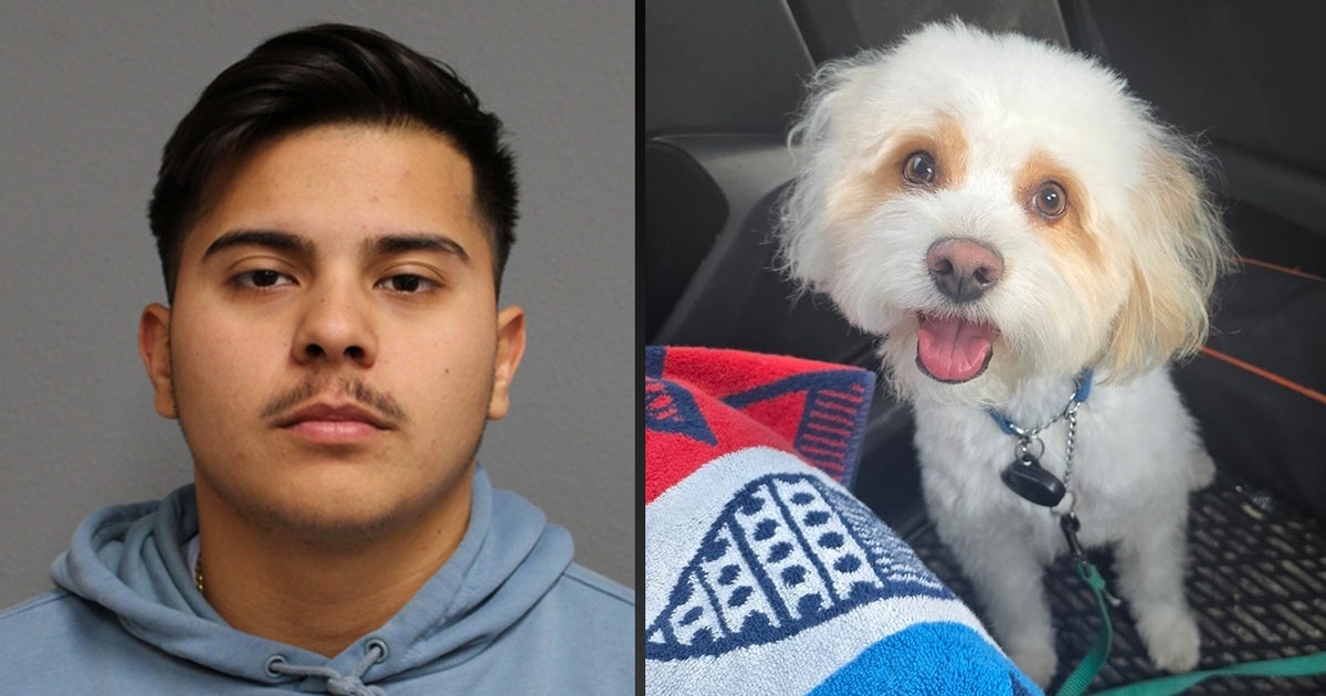 Former Bartow police officer accused of poisoning his girlfriend's Maltese poodle
