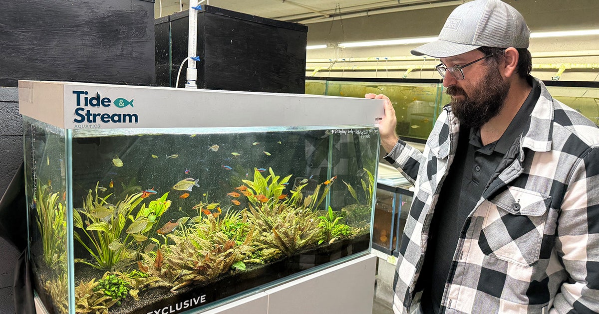 Cold snap hitting Tampa Bay area putting fish farms in survival mode