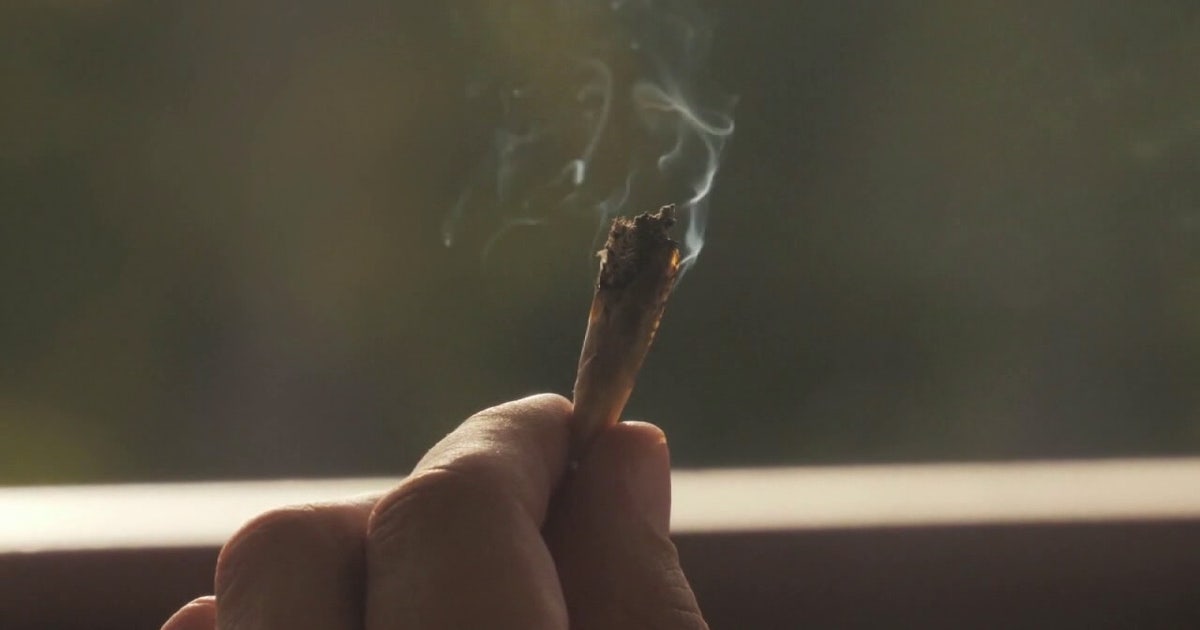 Recreational marijuana could return to Florida ballot in 2026 | FOX 13 ...