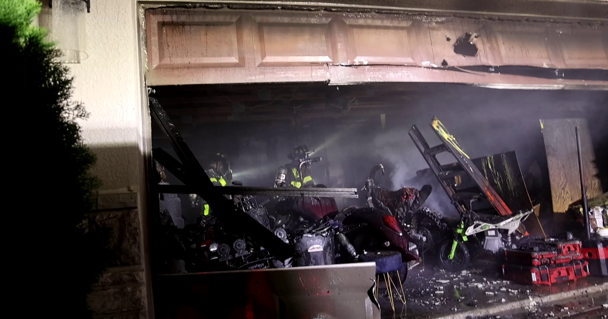 2 dogs found dead in Riverview house fire: HCFR | FOX 13 Tampa Bay