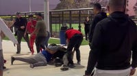 Brawl at Winter Haven youth baseball game ends with 3 arrests: police