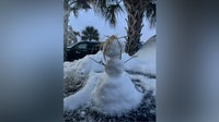 Will it snow in Tampa? Rare 'Gulf-effect' setup could bring flakes this weekend