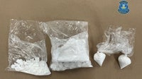 Sarasota man, 65, arrested for trafficking over 400 grams of cocaine: police